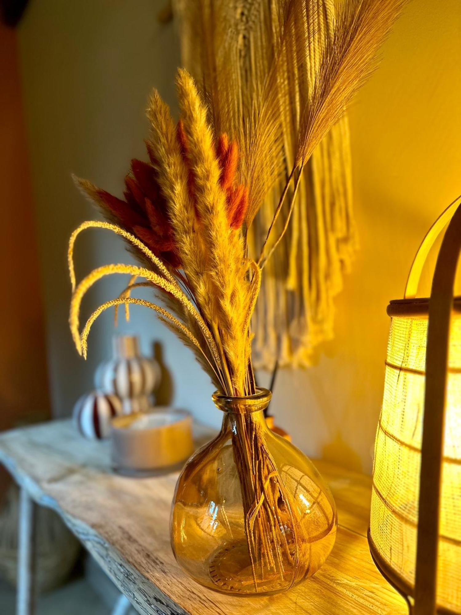 Ferme Marie Helene Bed and Breakfast Ittlenheim Buitenkant foto